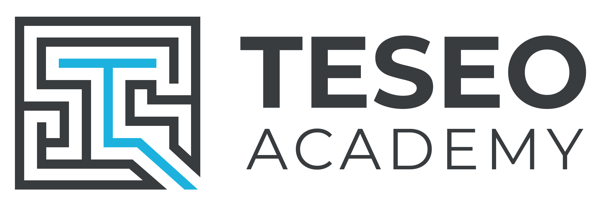 Teseo Academy